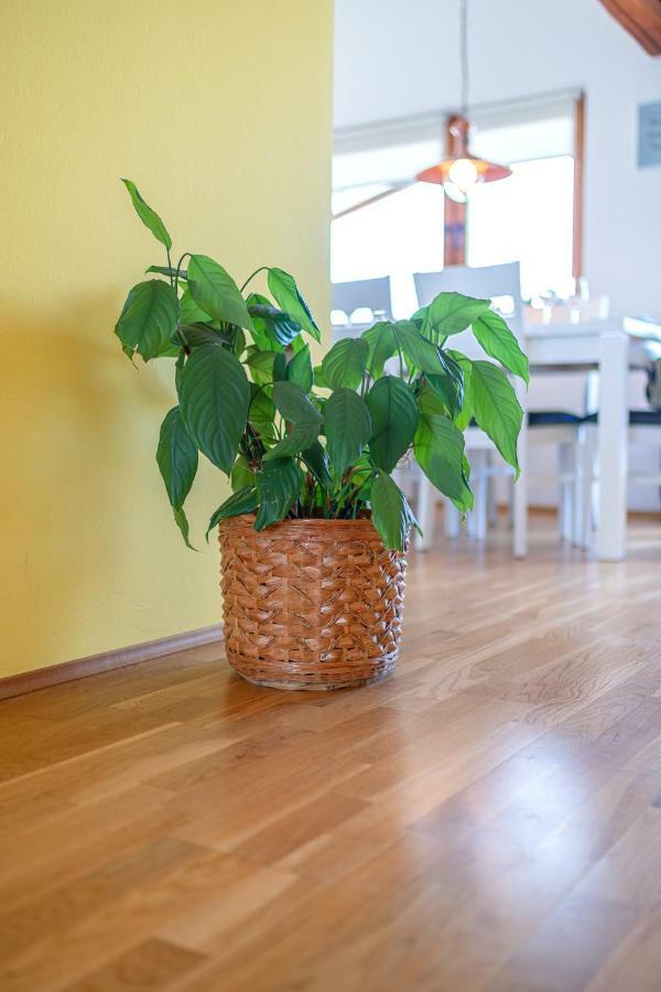 Apartman Skroza Vodice Kültér fotó